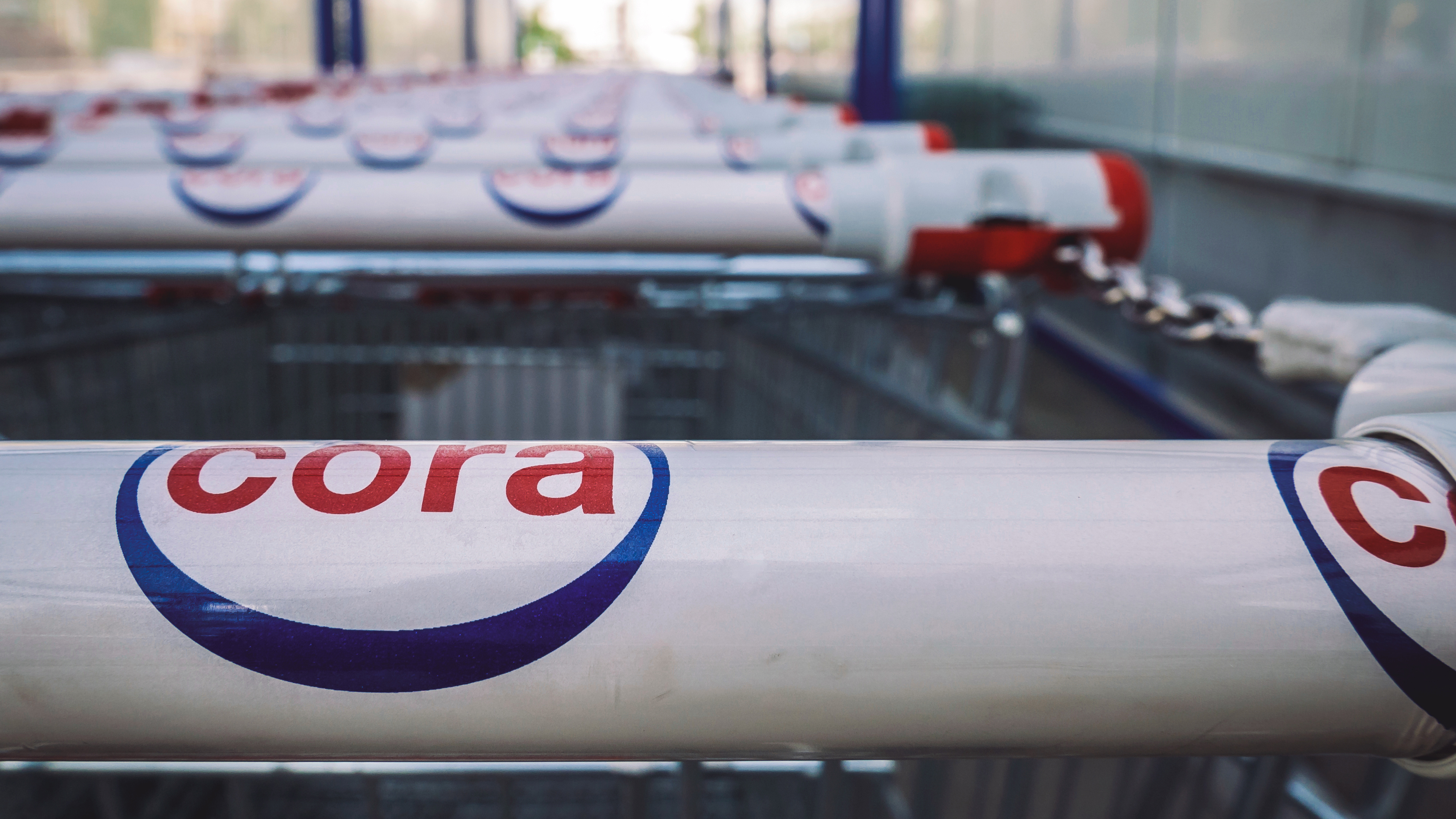 Zbliżenie wózków sklepowych ustawionych w rzędzie przed sklepem, każdy z logo „Cora” na rączce.