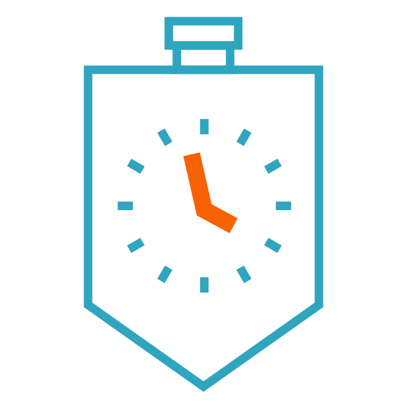 Illustration: Time to Value in 5 Tagen