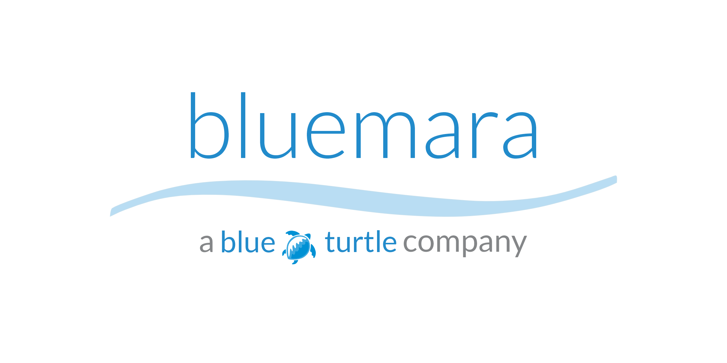 Logo bluemara